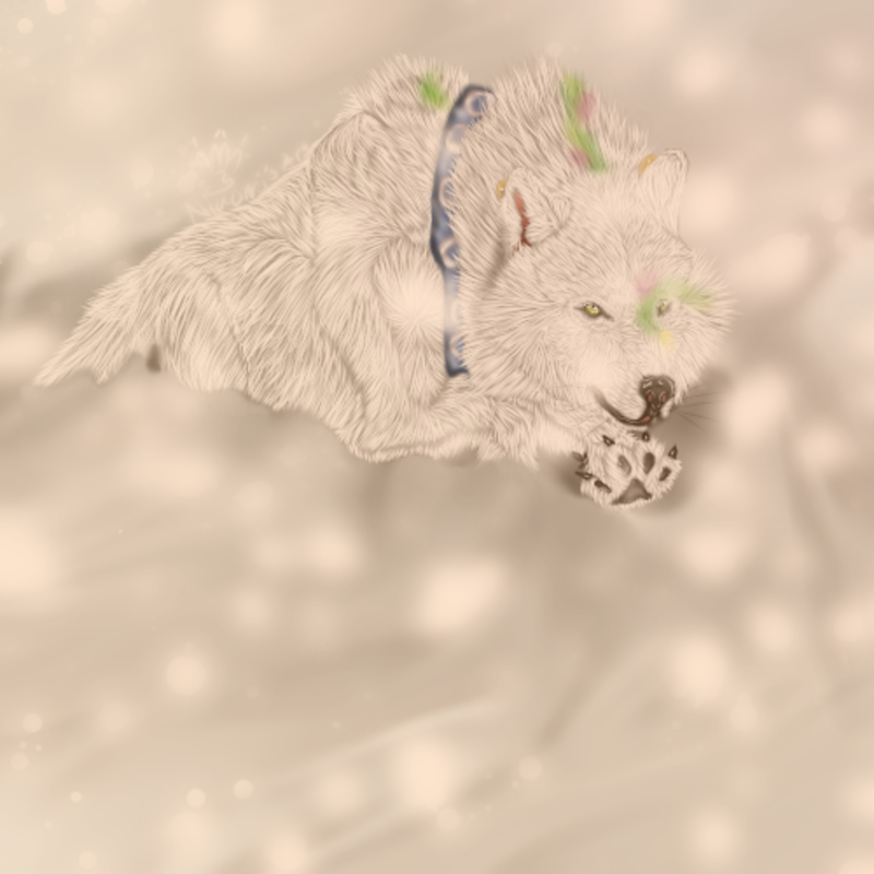book canid canine canis close-up demon demon_of_the_flowers dustin_feyder fan_character feral fluffy fur hetatsubachi_una male mammal paws red_twilight running snow solo tattoo wolf
