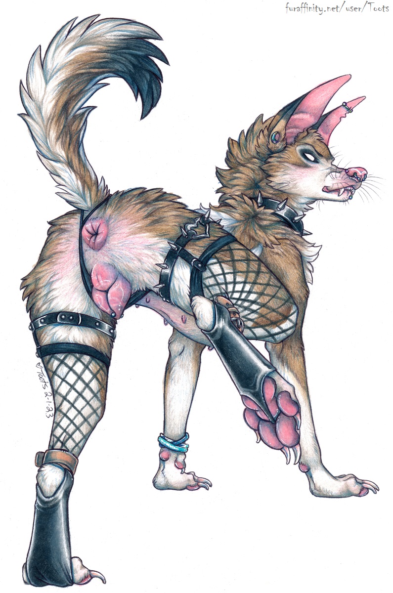 anatomically_correct anatomically_correct_genitalia anatomically_correct_pussy animal_genitalia animal_pussy anus brown_body brown_fur butt canid canine canine_genitalia canine_pussy canis chin_piercing claws clothed clothed_feral clothing collar coyote ear_piercing facial_piercing fangs female feral fishnet fishnet_legwear fur garter_straps genitals hi_res industrial_piercing legband legwear lingerie lingerie_on_feral mammal nose_piercing nose_ring one_leg_up pawpads piercing presenting presenting_hindquarters presenting_pussy punk pussy raised_leg ring_piercing solo spiked_collar spikes teeth toots whiskers white_eyes