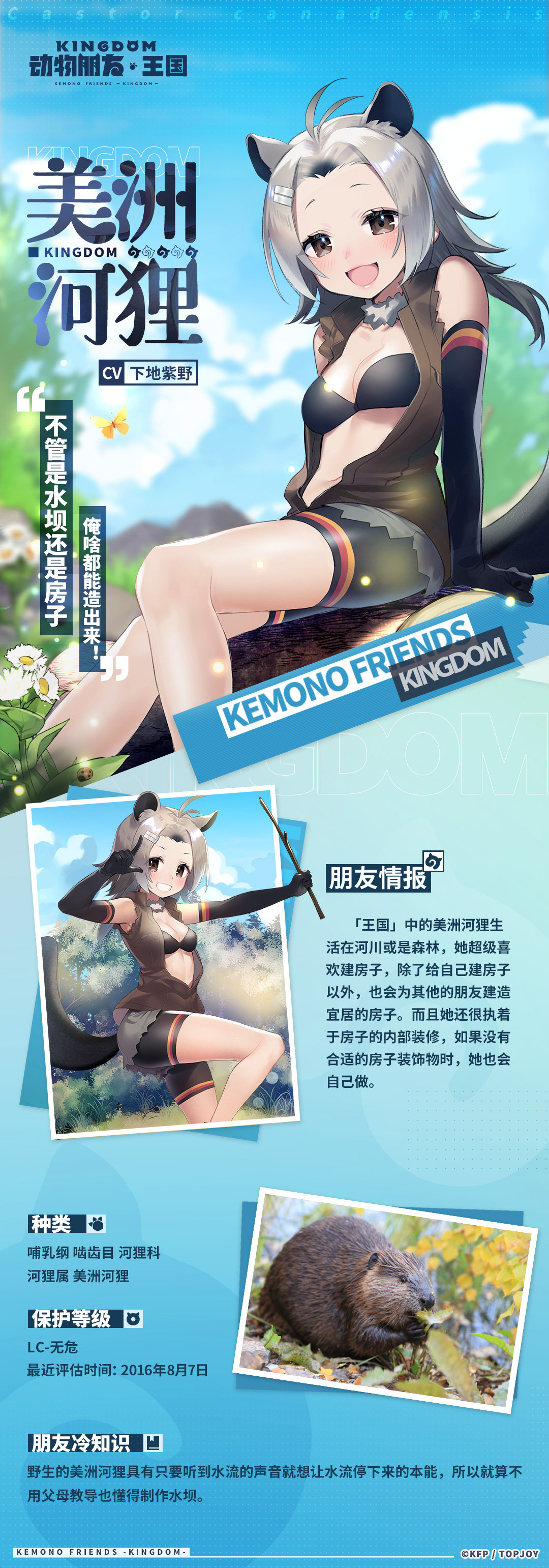 absurdres american_beaver_(kemono_friends) animal animal_ears beaver beaver_ears beaver_tail black_eyes blue_sky character_profile chinese_text elbow_gloves extra_ears gloves grey_hair hair_ornament highres jacket kemono_friends kemono_friends_kingdom leggings long_hair looking_at_viewer official_art shorts sky smile tail