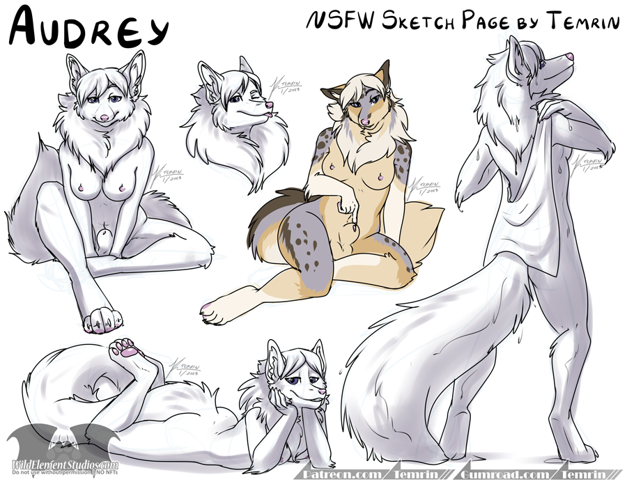 animal_genitalia anthro audrey_(disambiguation) audrey_(skyican) balls blanfords_fox breasts collage furry genitals herm hybrid intersex merle_shetland_sheepdog nipples nsfw nude pawpads paws sheath shower sketch sketch_page skyican teasing temrin wet