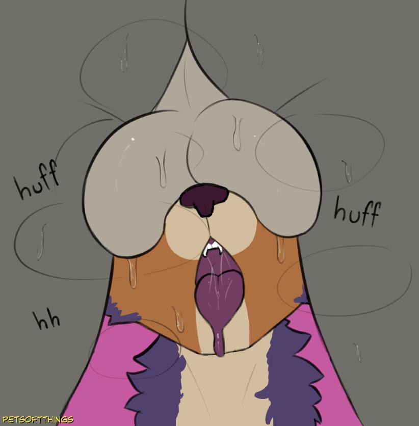 anthro ball_worship balls bodily_fluids breath butt canid canine canis coyote duo genitals male male/male mammal meme panting petsoftthings_(artist) purple_tongue sniffing sweat sweaty_balls sweaty_butt sweaty_genitalia these_aren't_my_glasses tongue tongue_out