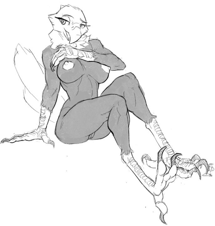 4_toes accipitrid accipitriform anisodactyl anthro avian bird breasts claws eagle feet female genitals lakeslug monochrome non-mammal_breasts nude pussy sitting sketch solo toes
