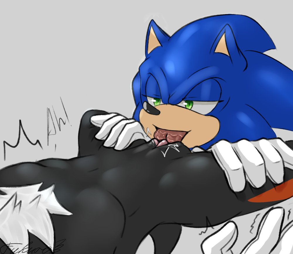 andromorph anthro aoibeast chest_tuft crossgender cunnilingus duo genitals intersex intersex/male male oral pussy sega sex shadow_the_hedgehog sonic_the_hedgehog sonic_the_hedgehog_(series) tuft vaginal