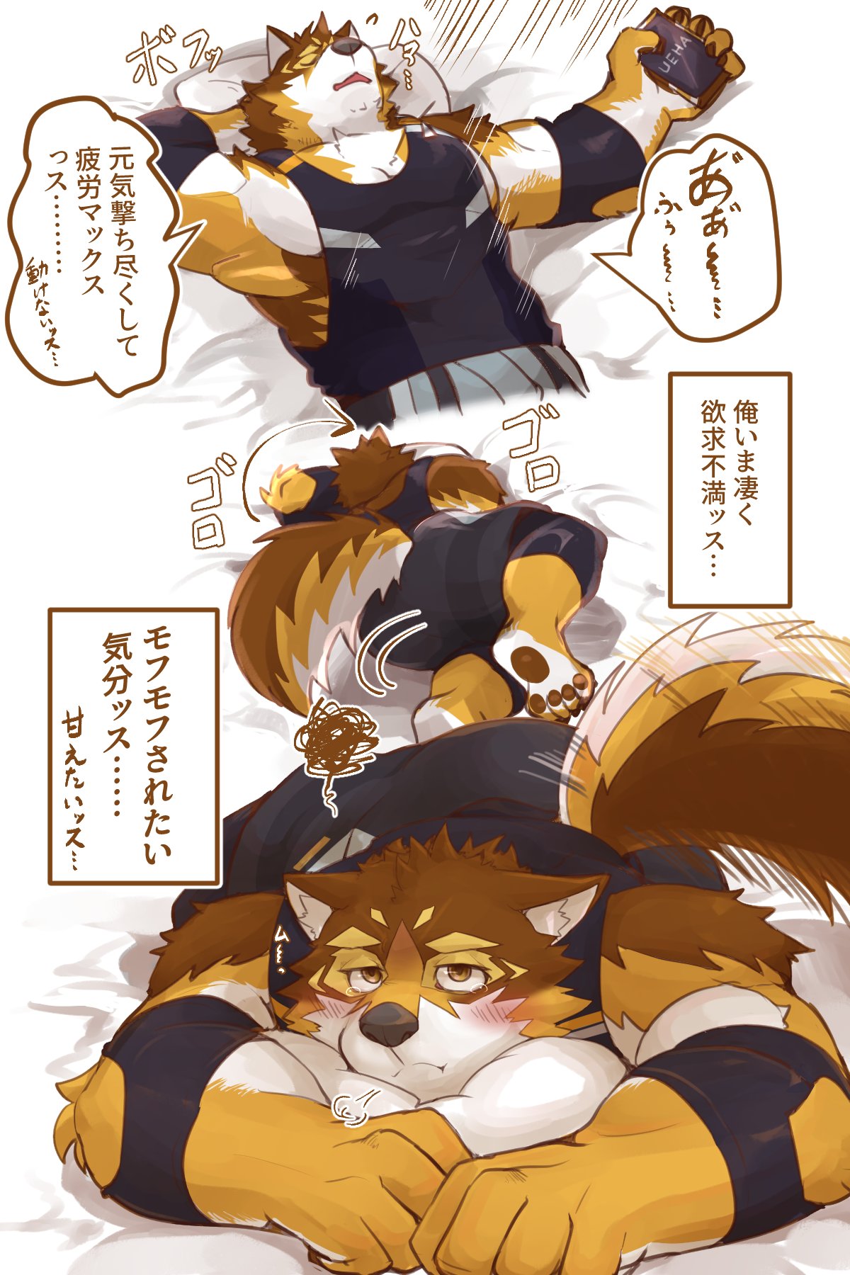 anthro barrel_(live_a_hero) bed blush bottomwear brown_body brown_fur butt canid canine canis cellphone chigiri clothing fur furniture hi_res japanese_text lifewonders live_a_hero looking_at_viewer lying male mammal muscular muscular_anthro muscular_male on_back pawpads phone pillow pouting shirt shorts smartphone solo tail tail_motion tailwag tank_top text topwear wolf