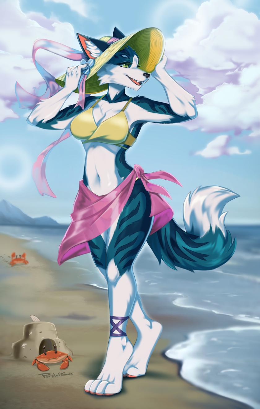 anbthro beach bikini canid canine canis clothing furry hi_res mammal purplelemons seaside swimwear wolf