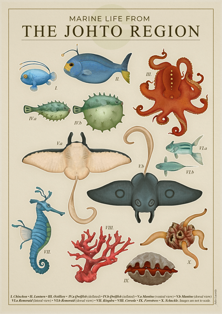 2023 ambiguous_gender arthropod barnacle batoid biological_illustration bivalve blue_body cephalopod chinchou coleoid corsola countershade_torso countershading crustacean english_text feral fin fish forretress generation_2_pokemon group julio_lacerda kingdra lanturn mantine marine maxillopod mollusk nintendo octillery octopodiform octopus pokemon pokemon_(species) pufferfish qwilfish remoraid shuckle spikes spikes_(anatomy) tail tail_fin technical_illustration tentacles tetraodontiform text zoological_illustration