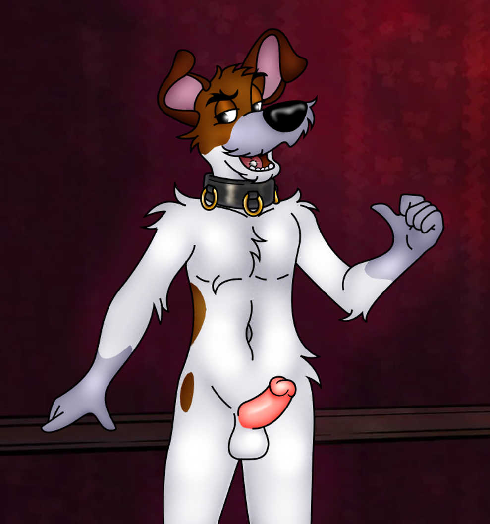 2023 5_fingers anthro anthrofied balls black_nose brown_body brown_fur canid canine canis collar collar_only disney dodger_(disney) domestic_dog erection fingers folwilliar fur genitals humanoid_hands hunting_dog jack_russell_terrier male mammal multicolored_body multicolored_fur navel nude oliver_and_company open_mouth open_smile penis piercing smile solo standing teeth terrier tongue tongue_piercing two_tone_body two_tone_fur white_body white_fur