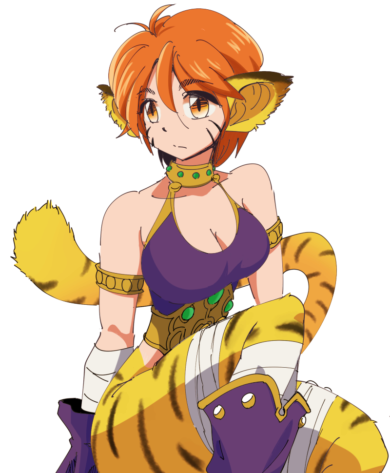 1girl animal_ears bandaged_leg bandages breasts breath_of_fire breath_of_fire_ii bustier cat_ears cat_tail cleavage closed_mouth gloves ooo orange_hair pointy_ears rinpoo_chuan short_hair simple_background solo staff tail white_background