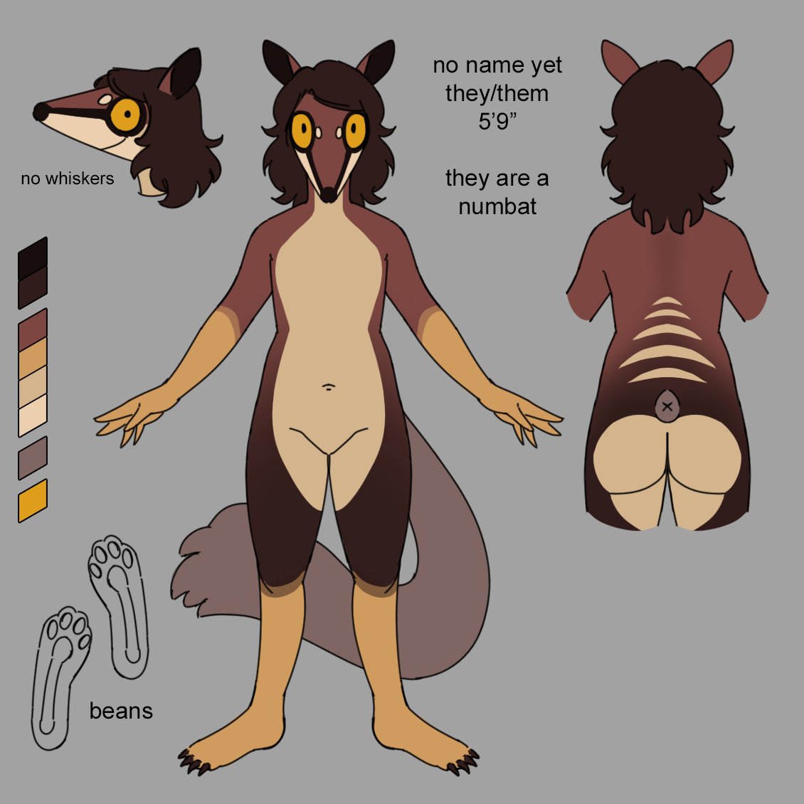 2023 a-pose ambiguous_gender anthro areola balls breasts butt claws dasyuromorph featureless_chest featureless_crotch flat_chested genitals grey_background hadmyway hadmyway_(fursona) hair long_hair looking_at_viewer mammal marsupial model_sheet multicolored_body navel nonbinary_(lore) numbat pawpads paws pose simple_background solo standing yellow_sclera