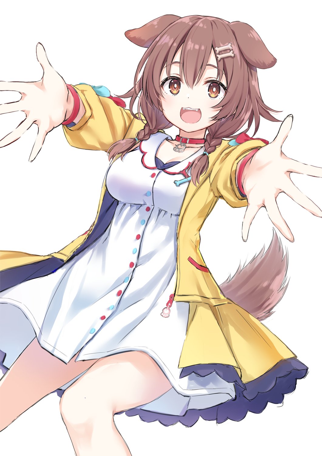 1girl :d animal_collar animal_ears blush bone_hair_ornament braid breasts brown_hair cleavage collar commentary dog_ears dog_girl dog_tail double-parted_bangs dress fangs feet_out_of_frame foreshortening hair_ornament highres hololive inugami_korone inugami_korone_(1st_costume) jacket looking_at_viewer low_twin_braids medium_breasts medium_hair open_clothes open_jacket open_mouth outstretched_arms red_collar red_eyes simple_background smile solo standing tail teeth twin_braids upper_teeth_only virtual_youtuber white_background white_dress wristband yellow_jacket yuuki_hagure