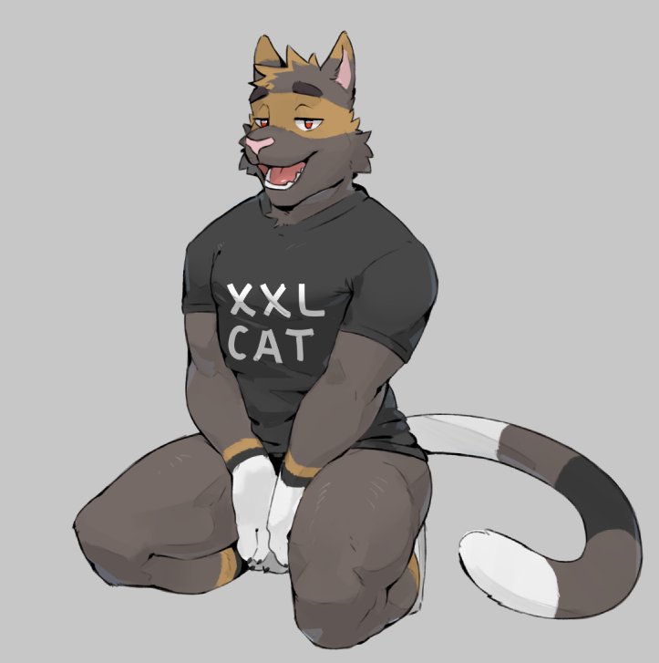 anthro barley_(barleythecat) bottomless bottomless_male clothed clothing covering covering_crotch domestic_cat felid feline felis gato_matero hiding_penis kneeling looking_at_viewer male mammal muscular muscular_male red_eyes shirt simple_background solo t-shirt t-shirt_only topwear