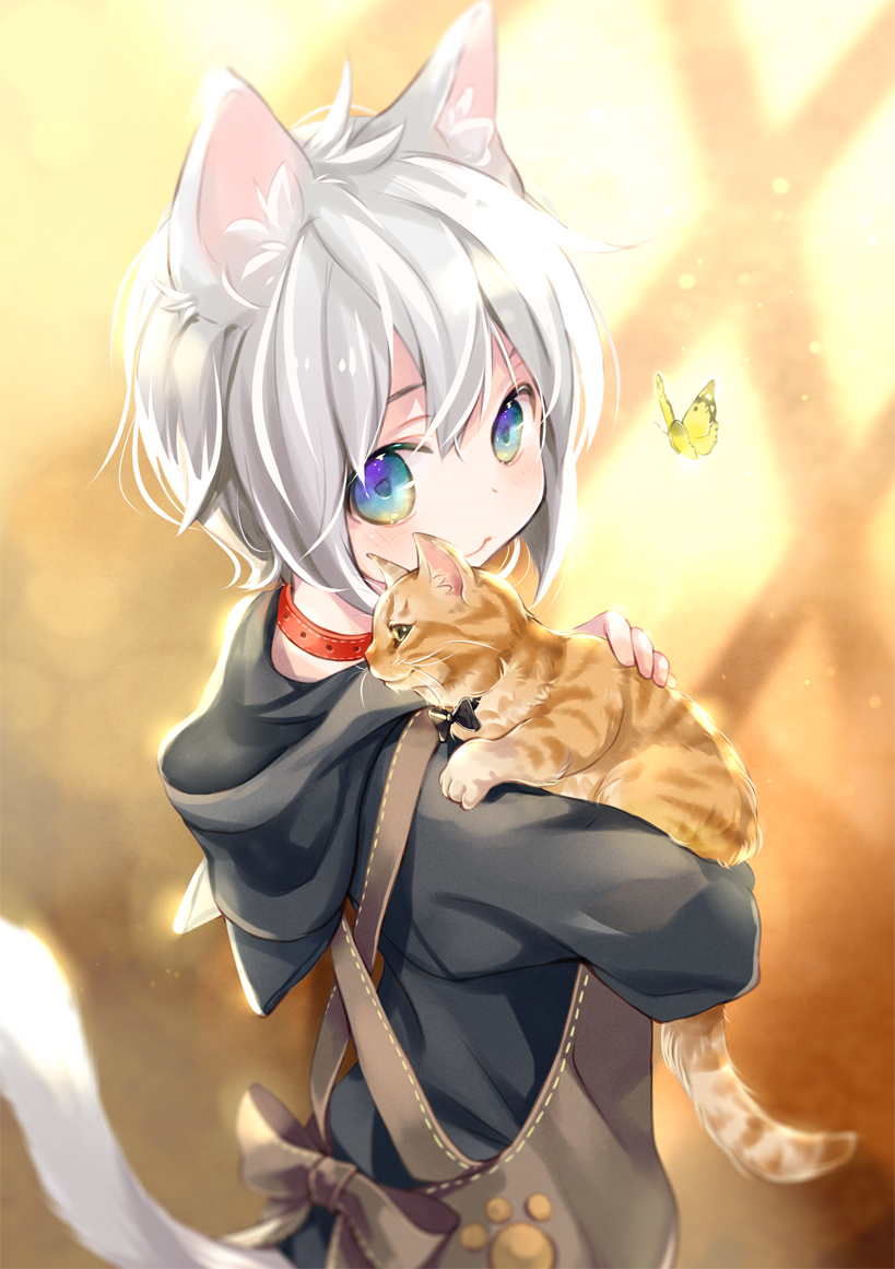 1girl animal animal_ear_fluff animal_ears animal_on_shoulder apron black_hoodie blue_eyes blush brown_apron bug butterfly cat cat_ears cat_girl cat_tail closed_mouth collar commentary_request eyebrows_hidden_by_hair from_behind grey_hair hair_between_eyes hood hood_down hoodie kuga_tsukasa looking_at_viewer looking_to_the_side original red_collar solo tail