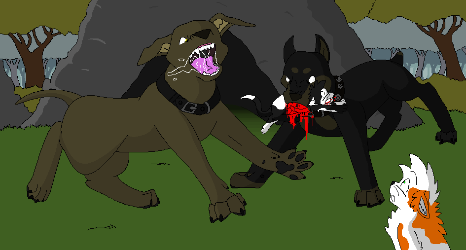 2009 aliasing ambiguous_gender bite black_body black_claws black_collar black_fur black_nose black_pawpads blood blue_eyes bluekyokitty bodily_fluids brightheart_(warriors) brown_body brown_fur canid canine canis cave cel_shading claws collar day detailed_background digital_drawing_(artwork) digital_media_(artwork) domestic_cat domestic_dog drooling felid feline felis feral fur gore grass grey_inner_ear_fluff group head_tuft inner_ear_fluff killing mammal open_mouth orange_body orange_fur outside pawpads pink_tongue plant saliva shaded sharp_teeth shocked short_tail shrub snarling spiked_collar spikes standing swiftpaw_(warriors) tail teeth tongue tree tuft warriors_(cats) whiskers white_body white_fur young