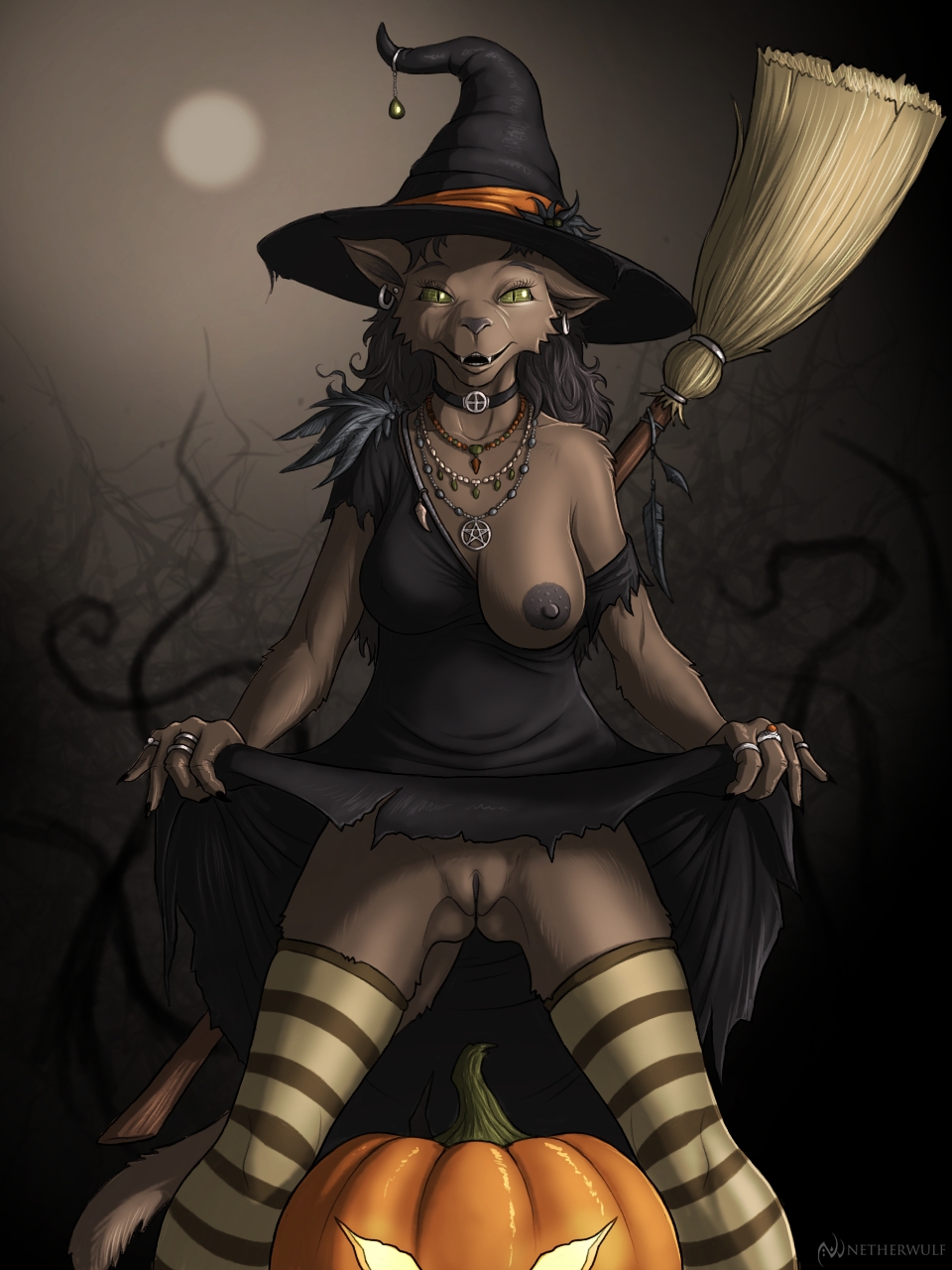 anthro breasts broom cleaning_tool clothed clothing felid feline female flashing fog food fruit full_moon genitals halloween hat headgear headwear hi_res holidays jack-o'-lantern jewelry leggings legwear light magic_user mammal moon moonlight necklace netherwulf night night_time nipples no-dialogue no_underwear one_breast_out outside pentagram plant pumpkin pussy solo upskirt vines witch witch_hat
