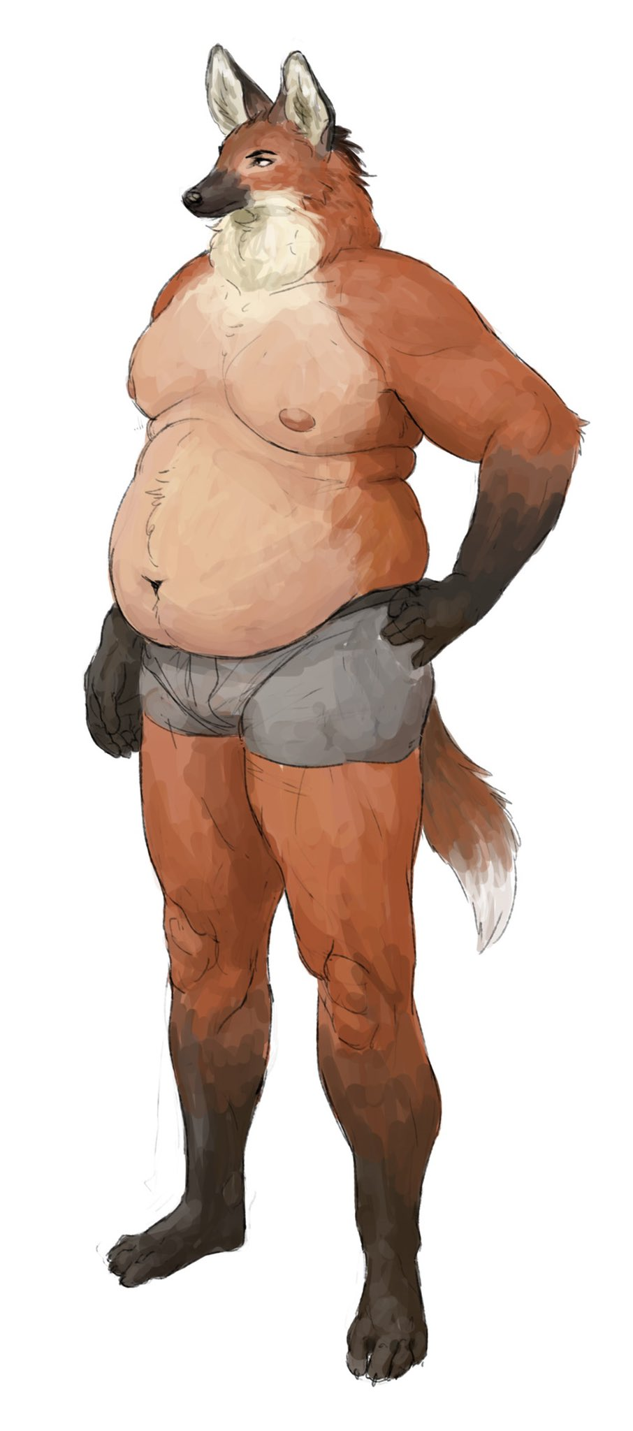 2021 anthro barefoot belly briefs briefs_only canid canine canis cettus clothed clothing feet fur hand_on_hip hi_res male mammal maned_wolf moobs navel nipples orange_body orange_fur overweight overweight_anthro overweight_male simple_background solo standing topless underwear underwear_only white_background wolf