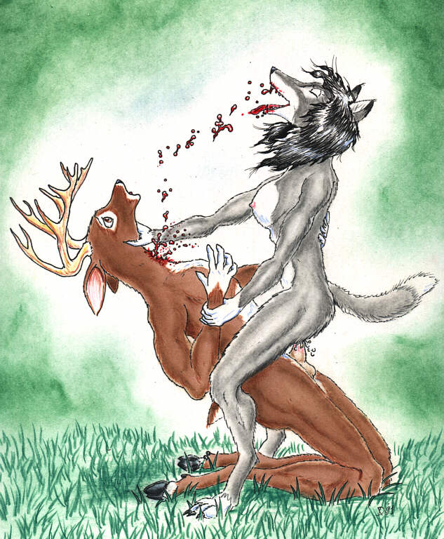 andromorph anthro anthro_on_anthro anthro_penetrated anthro_penetrating anthro_penetrating_anthro balls bite blood blood_in_mouth bodily_fluids breasts canid canine canis cum cum_in_pussy cum_inside darkwolfie death deer digitigrade dominant dominant_female duo female female_penetrated genital_fluids genitals gore gynomorph hand_on_throat intersex kneeling male male/female male_penetrating male_penetrating_female mammal new_world_deer nude nude_female nude_male penetration penis sex submissive submissive_male white-tailed_deer wolf