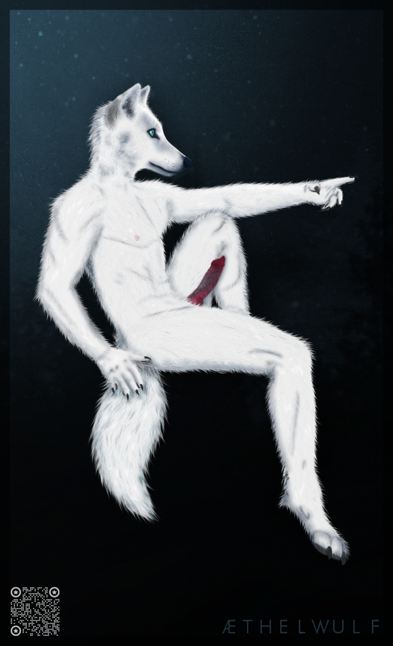 aethelwulf anthro arctic_wolf aroused canid canine canis erection full-length_portrait fur genitals hi_res hindpaw male mammal manly muscular nipples paws penis portrait solo white_body white_fur wolf