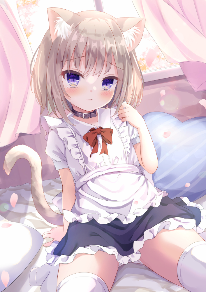1girl animal_ear_fluff animal_ears apron arm_support black_collar black_skirt bow brown_hair cat_ears cat_girl cat_tail closed_mouth collar curtains day diagonal_stripes frilled_apron frills heart heart_pillow indoors looking_at_viewer original panties petals pillow purple_eyes red_bow shirt skirt solo striped striped_pillow sunlight tail thighhighs umi_suzume underwear white_apron white_panties white_shirt white_thighhighs window