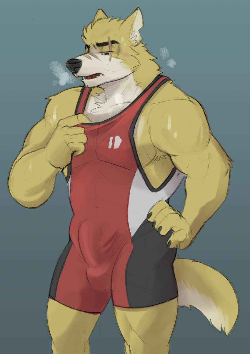 anthro athletic_wear bodily_fluids bottomwear bulge canid canine canis clothed clothing cooper_krager digital_media_(artwork) erection exercise eye_scar facial_scar fur genitals gym_bottomwear gym_clothing gym_shorts hi_res horrorbuns male mammal muscular muscular_anthro muscular_male pecs penis remember_the_flowers scar shirt shorts simple_background solo sweat tank_top tight_clothing topwear wolf workout workout_clothing yellow_body yellow_fur