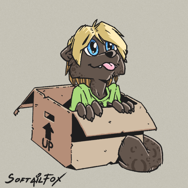 big_eyes black_body black_fur black_markings blonde_hair blue_eyes box cardboard cardboard_box cheek_tuft clothing container cute_expression facial_tuft felid fluffy fluffy_hair fur fur_markings fur_pattern green_clothing green_shirt green_topwear hair head_hair head_tuft inside_box mammal markings pantherine shirt softailfox telegram_sticker tongue tongue_out toony topwear tuft wide_eyed