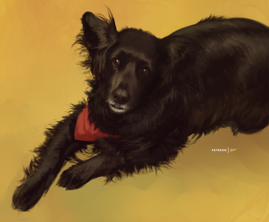 2023 ambiguous_gender bandanna black_body black_eyes black_fur black_nose canid canine canis domestic_dog feral fur high-angle_view kerchief looking_at_viewer looking_up mammal rajii red_bandanna red_kerchief simple_background solo white_body white_fur yellow_background
