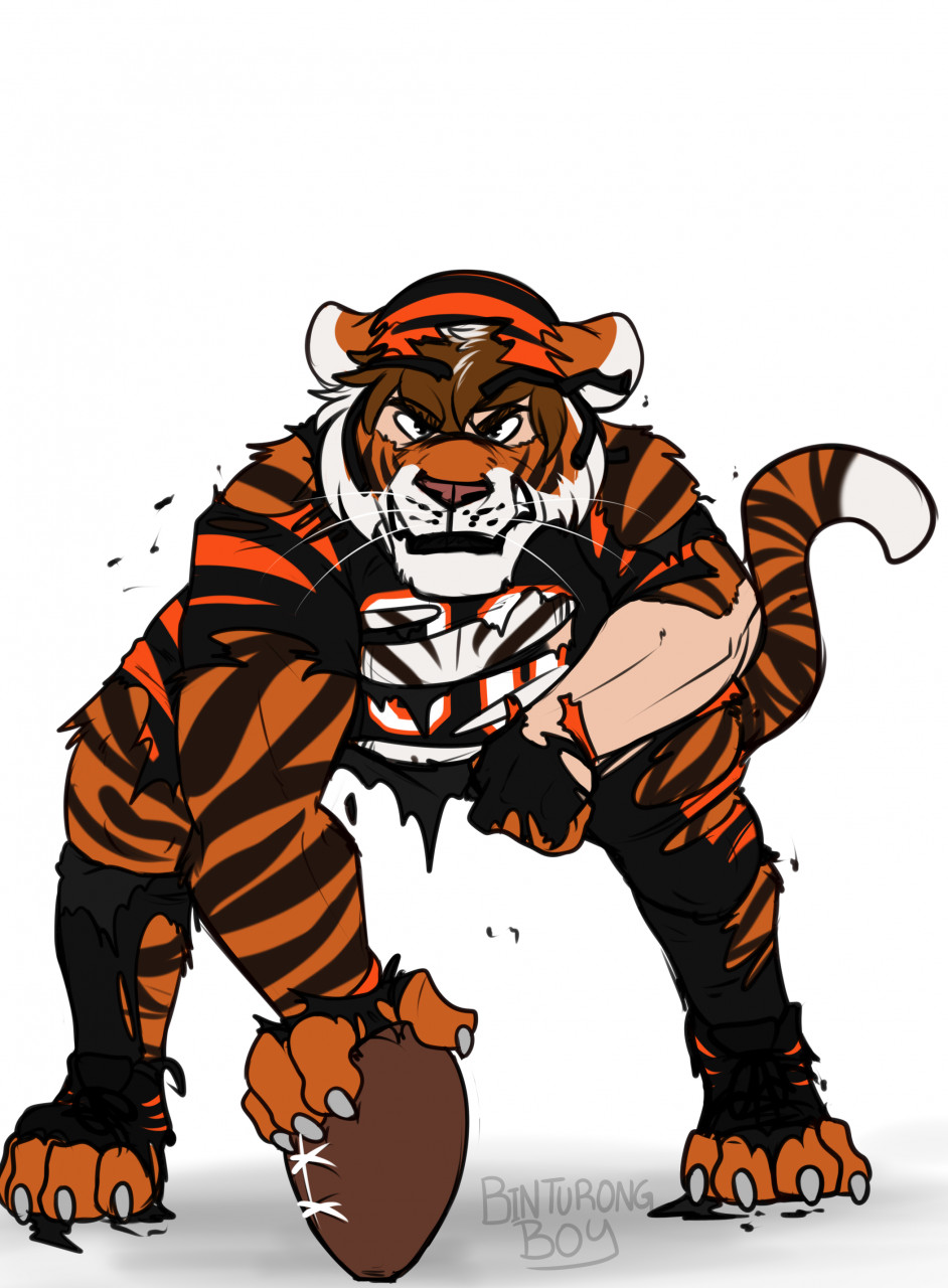 2022 anthro armor binturongboy bottomwear broken_helmet cincinnati_bengals cleats clenched_teeth clothing fingerless_gloves football_(object) football_gear football_helmet football_jersey football_pants football_player football_uniform footwear fur gloves growth handwear headgear helmet hi_res human_to_anthro jersey male mascot nfl orange_body orange_fur pants pheagle pose simple_background socks solo species_transformation teeth torn_clothing transformation white_background who_dey