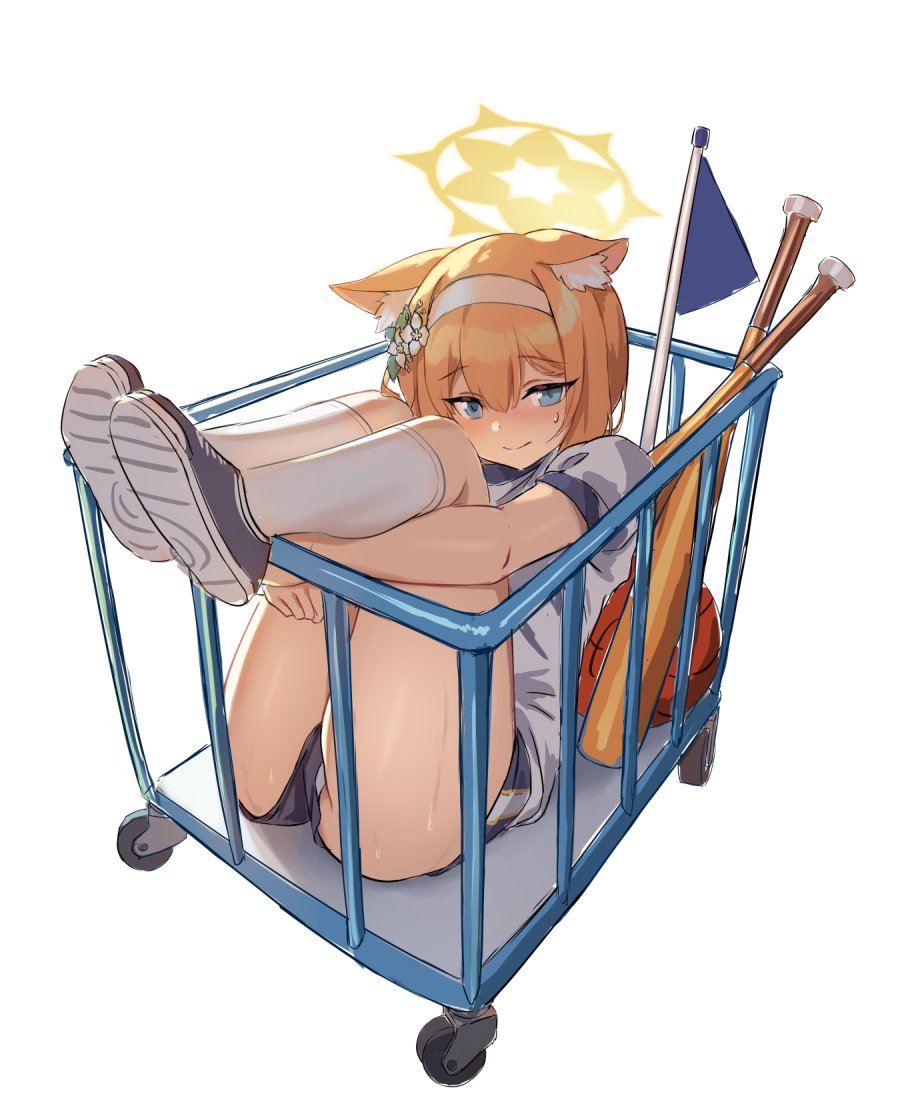 1girl animal_ear_fluff animal_ears ass baseball_bat basketball blue_archive blue_eyes blue_footwear blue_shorts blush cart flower fox_ears fox_girl full_body furrowed_brow gym_shirt gym_shorts gym_uniform hair_between_eyes hair_flower hair_intakes hair_ornament hairband halo hands_under_legs head_tilt holding_legs holding_own_leg jacket kneehighs legs_together long_hair mari_(blue_archive) mari_(track)_(blue_archive) multicolored_clothes nervous_sweating official_alternate_costume orange_hair parted_bangs pole shirt shoes short_shorts short_sleeves shorts sidelocks socks solo sportswear sweat sweatdrop t-shirt thick_thighs thighs track_jacket track_suit two-tone_footwear very_long_hair white_flower white_footwear white_hairband white_shirt white_socks yellow_halo zi_se