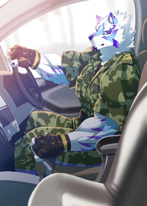 anthro blue_eyes canid canine canis car car_interior clothing domestic_dog facial_markings fingerless_gloves fur gloves grausummon handwear head_markings looking_at_viewer male mammal markings military_uniform muscular muscular_anthro muscular_male sadayoshi smile solo stick_shift uniform vehicle white_body white_fur