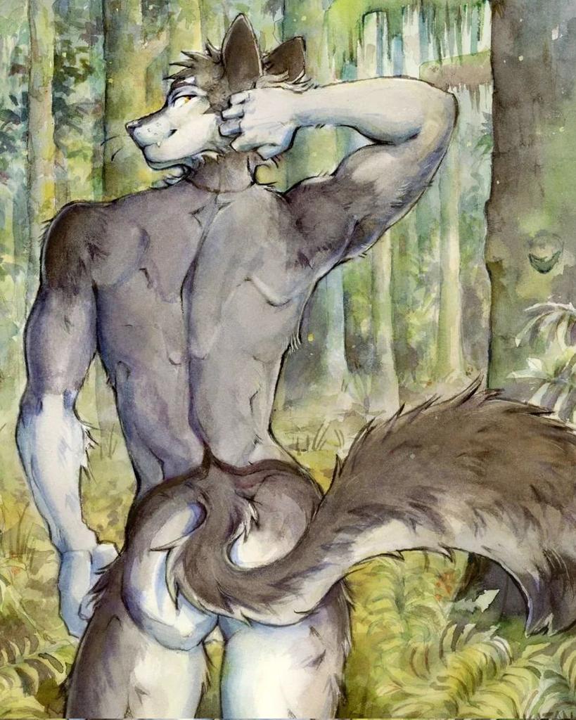 akatan_art anthro balls butt canid cheek_tuft facial_tuft forest fur genitals glistening glistening_eyes grass grey_body grey_fur head_tuft looking_at_viewer looking_back looking_back_at_viewer male mammal nude outside plant portrait rear_view solo standing three-quarter_portrait tree tuft white_balls white_body white_fur yellow_eyes