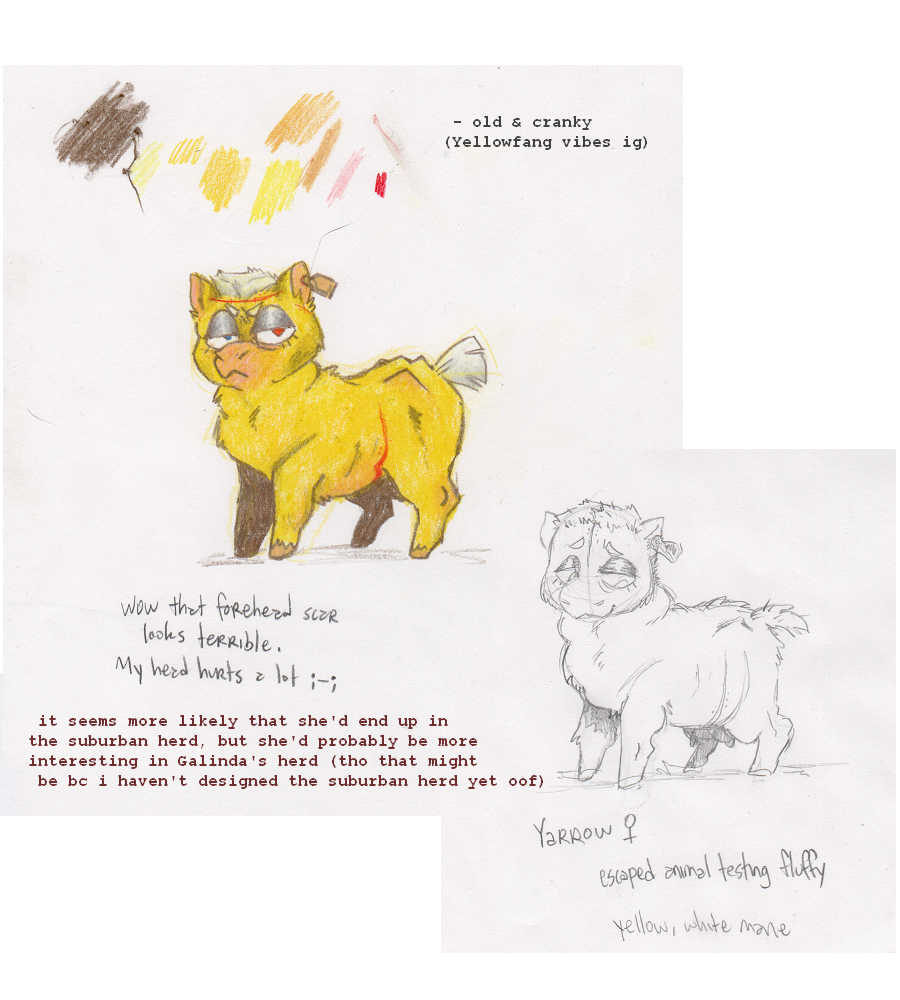 2022 abdominal_scar ambiguous_gender character_name color_swatch colored_pencil_(artwork) concept_art crotch_breasts ear_tag english_text facial_scar federalchemical1728 female_symbol feral fluffy_pony fluffy_pony_(species) forehead_scar frown fur gender_symbol graphite_(artwork) half-closed_eyes handwritten_text hooves looking_at_viewer mammal mane narrowed_eyes pencil_(artwork) red_eyes red_scar scar simple_background sketch sketch_page solo standing symbol tail tan_hooves text traditional_media_(artwork) unguligrade white_background white_mane white_tail yarrow_(federalchemical1728) yellow_body yellow_fur