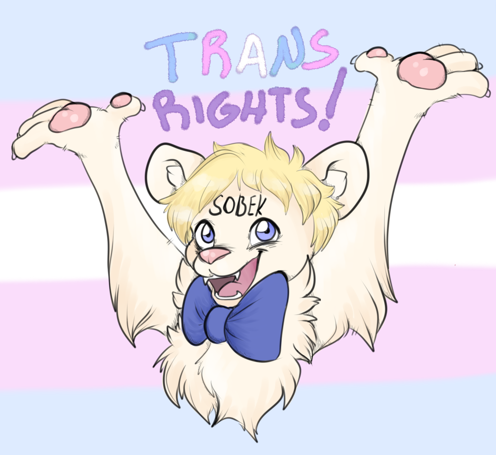 2019 anthro arm_tuft blonde_hair blue_eyes body_writing bow_tie bust_portrait chest_tuft claws domestic_ferret english_text farraigeart finger_claws fur hair harry_(hbomberguy) hbomberguy inner_ear_fluff lgbt_pride light_body light_fur male mammal mustelid musteline open_mouth pawpads pink_pawpads portrait pride_colors raised_arms sharp_teeth simple_background solo teeth text transgender_pride_colors true_musteline tuft weasel