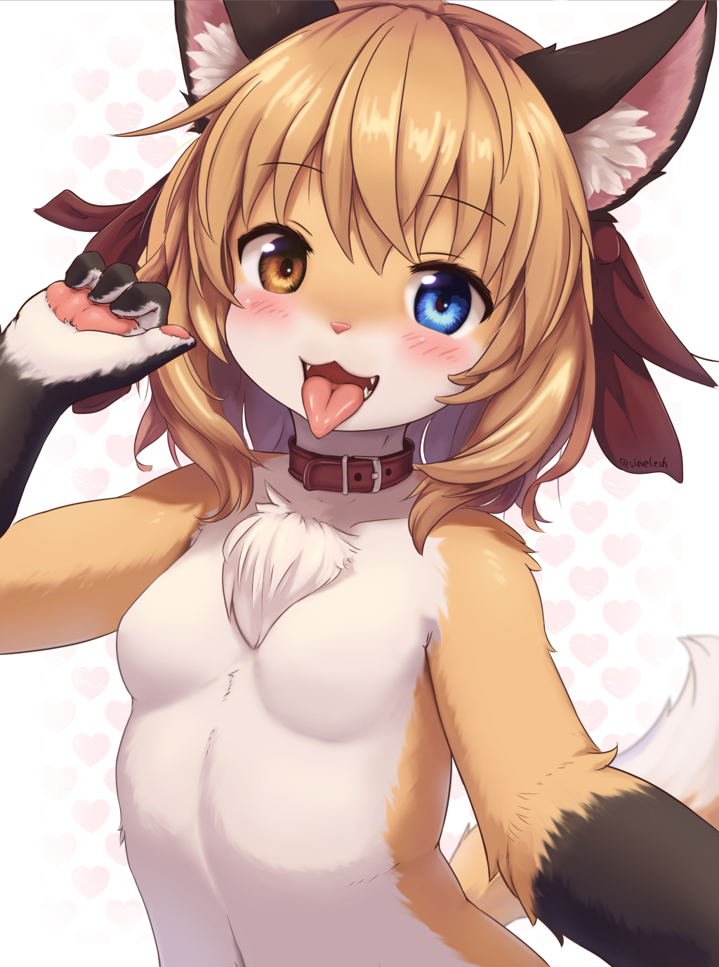 &lt;3 2023 4_fingers accessory anthro black_body black_fur blue_eyes blush breasts brown_body brown_fur canid canine chest_tuft collar countershading digital_media_(artwork) dipstick_tail fangs featureless_breasts female female_anthro fingers fluffy fox fur gloves_(marking) hair hair_accessory half-length_portrait heterochromia hi_res inner_ear_fluff kemono looking_at_viewer mammal markings multicolored_body multicolored_fur nude open_mouth pawpads pink_nose portrait selfie sinelesh small_breasts solo tail tail_markings tan_body tan_fur tan_hair teeth tongue tongue_out translated_description tuft white_body white_fur yellow_eyes