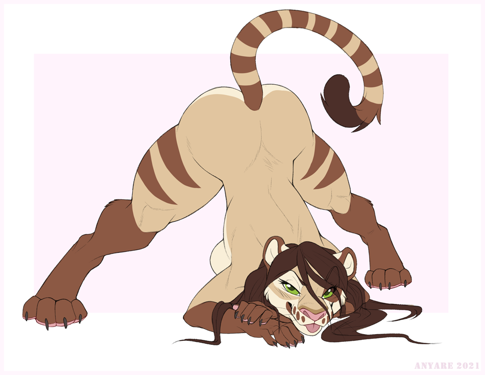 2021 anyare anyare_(character) ass_up blep breasts brown_hair claws colored digital_drawing_(artwork) digital_media_(artwork) dipstick_ears dipstick_tail felid female finger_claws gloves_(marking) green_eyes hair hybrid jack-o'_pose leg_markings long_hair looking_at_viewer mammal markings multicolored_ears nude pantherine pink_nose pose side_boob simple_background socks_(marking) solo tail tail_markings tigon toe_claws tongue tongue_out whiskers white_background