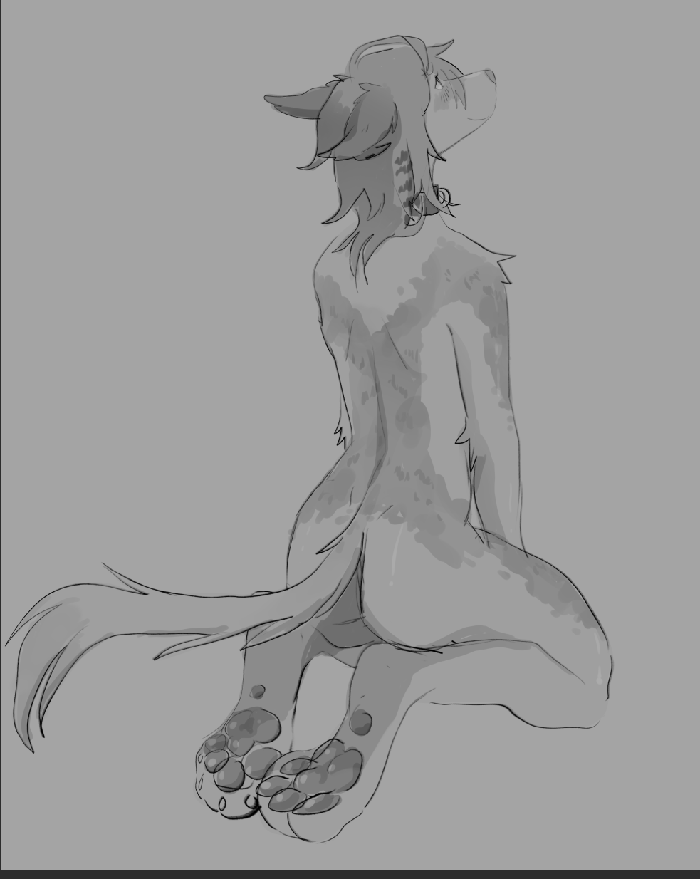 anthro back_muscles beast(tbdborzoi) black_and_white borzoi butt canid canine canis collar domestic_dog fur greyscale hi_res hunting_dog kneeling looking_up male mammal monochrome rear_view sighthound sketch solo tbdborzoi