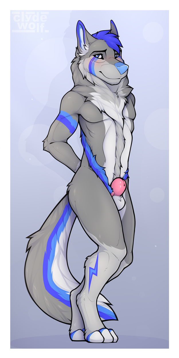 1:2 anthro balls blush border canid canine canis chastity_cage chastity_device clyde_wolf digital_media_(artwork) fur genitals hi_res male mammal nude purple_chastity_cage simple_background solo submissive submissive_male white_border wolf