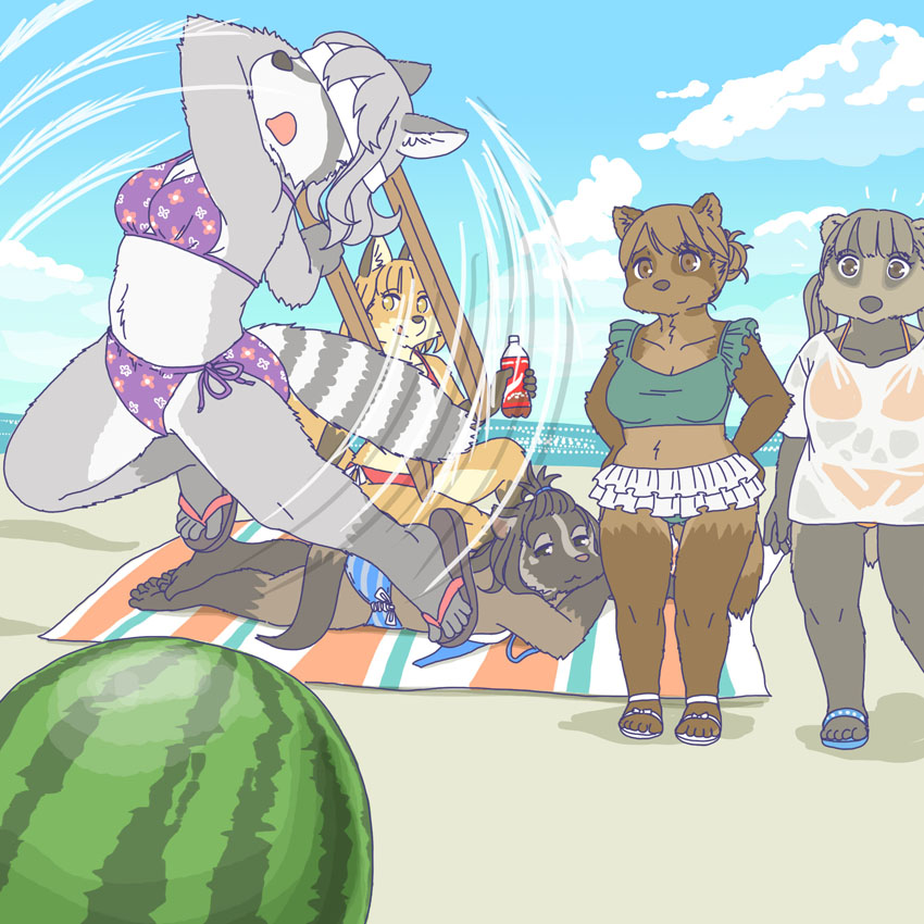 1:1 anthro badger beach bikini blindfold canid canine civet clothed clothing ekaki510 female food fox fruit group japanese_badger kemono mammal masked_palm_civet meles melon mustelid musteline palm_civet plant procyonid raccoon raccoon_dog seaside swimwear tanuki viverrid watermelon