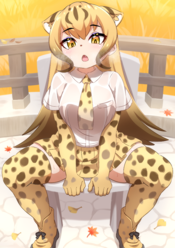 1girl animal_ears animal_print autumn autumn_leaves bare_shoulders blonde_hair breasts breath brown_hair cheetah_(kemono_friends) cheetah_ears cheetah_print collared_shirt day elbow_gloves ev_(kemomimizuku) extra_ears eyeshadow fang full_body ginkgo_leaf gloves kemono_friends kemono_friends_2 leaf long_hair looking_at_viewer makeup maple_leaf miniskirt multicolored_hair necktie open_mouth outdoors pleated_skirt print_footwear print_gloves print_necktie print_skirt print_thighhighs railing shirt shoes sitting skindentation skirt solo spread_legs sweat taut_clothes taut_shirt thighhighs v_arms very_long_hair wet wet_clothes wet_shirt white_shirt wing_collar yellow_eyes zettai_ryouiki