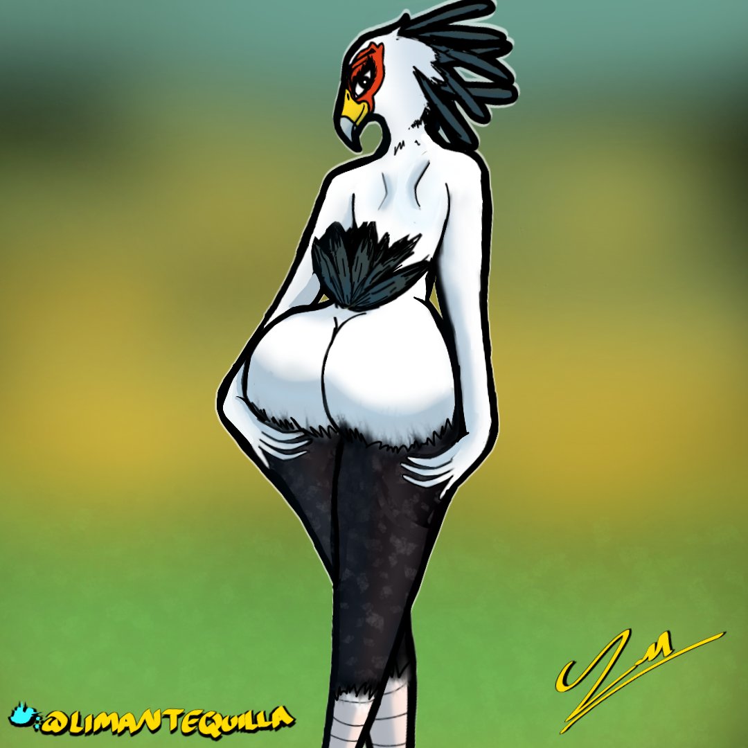 accipitriform ambiguous_gender anthro avian big_butt bird black_body black_eyes black_feathers butt eyelashes facial_markings feathers head_feathers head_markings limantequilla looking_at_viewer looking_back looking_back_at_viewer markings nude rear_view secretary_bird smile solo tail_feathers thick_thighs white_body white_feathers wide_hips