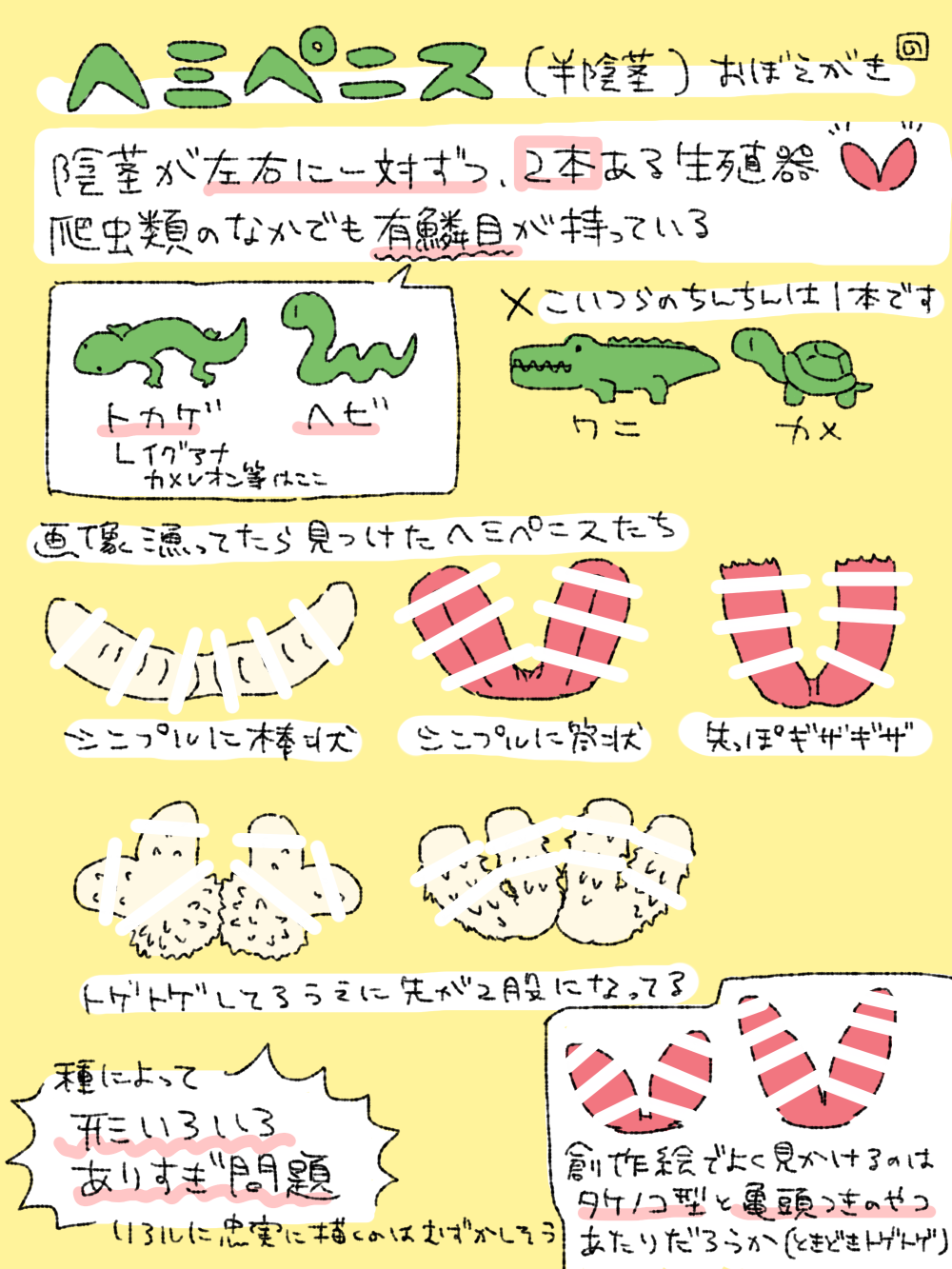 2_penises ambiguous_gender animal_genitalia animal_penis crocodile crocodilian crocodylid feral genitals hemipenes hi_res how-to japanese_text lizard male multi_genitalia multi_penis nontan_mobusagi penile_spines penis reptile scalie snake text tortoise translation_request turtle