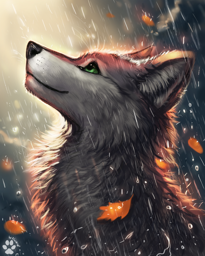 ambiguous_gender canid canine canis day_time ears_up feral flashw fur green_eyes leafs light looking_up mammal outside raindrops raining smile solo sunlight weather wet wet_body wet_fur