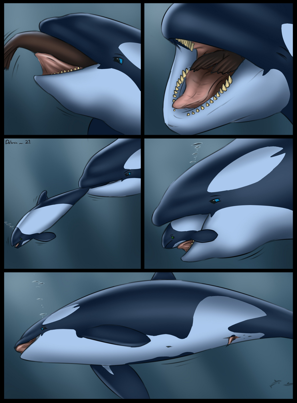 ambiguous_gender ambiguous_prey animal_genitalia animal_penis cetacean cetacean_genitalia cetacean_penis comic commerson's_dolphin dolorcin dolphin feral feral_pred feral_prey genitals hi_res larger_pred licking male male_pred mammal marine multiple_prey oceanic_dolphin oral_vore orca penis penis_tip pinniped seal smaller_prey soft_vore tapering_penis tongue tongue_out toothed_whale underwater vore water