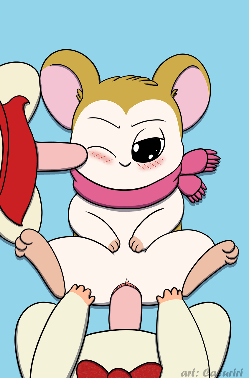 2020 animated apron apron_only blush bow_tie brown_body brown_fur caluriri clothing cricetid dexter_(hamtaro) female female_penetrated feral feral_on_feral feral_penetrated feral_penetrating feral_penetrating_feral fur genitals group group_sex hamster hamtaro_(series) hi_res howdy_(hamtaro) lying male male/female male_penetrating male_penetrating_female mammal on_back pashmina_(hamtaro) penetration penile penile_penetration penis penis_in_pussy penis_on_face pink_scarf rodent scarf sex signature tan_body tan_fur threesome vaginal vaginal_penetration white_body white_fur