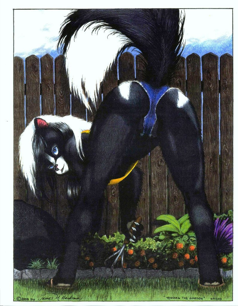 anthro ass_up bent_over black_body black_fur bottomwear butt camel_toe clothing denim denim_clothing female fence fur garden hair james_m_hardiman looking_at_viewer looking_back mammal mature_anthro mature_female mephitid midriff raised_tail rear_view shorts skunk solo tail valencia_(jmh) white_hair