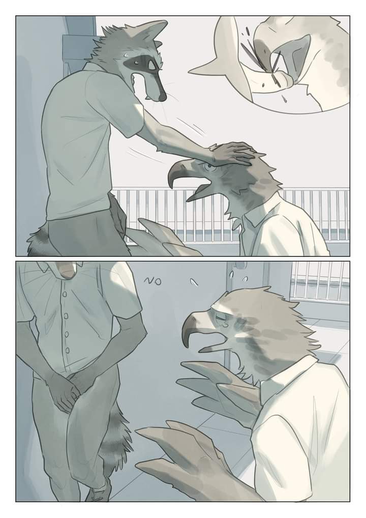 anthro avian balls beak bird canid canine clothed clothing comic cover digital_media_(artwork) duo english_text feathers fur genitals male male/male mammal nude open_mouth penis pngx_(artist) poor procyonid raccoon realization rejection simple_background tail text thought_bubble wings