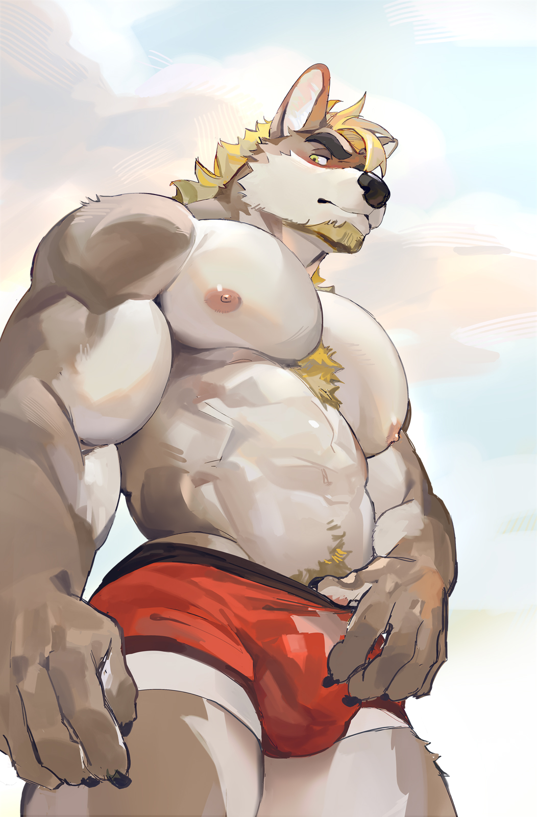 anthro big_pecs bulge canid canine canis clothing hi_res looking_at_viewer low-angle_view male mammal muscular muscular_anthro muscular_male nipples pecs seatohao sky solo swimwear wolf