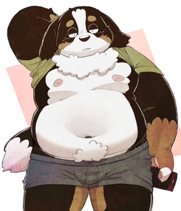 2023 anthro belly bernese_mountain_dog big_belly black_body black_nose bulge canid canine canis cellphone clothed clothing domestic_dog kemono male mammal meg_hoi molosser moobs mountain_dog navel nipples overweight overweight_male phone raised_clothing raised_shirt raised_topwear shirt smartphone solo swiss_mountain_dog topwear underwear white_body