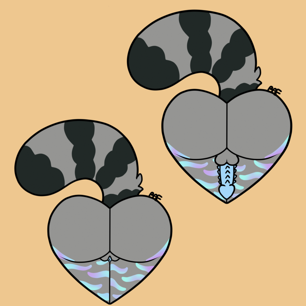 &lt;3 balls butt butt_heart genitals mammal penis procyonid pussy raccoon raevi10 ych