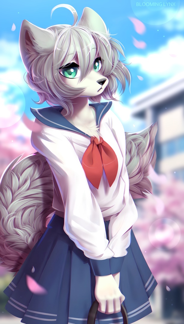 anthro artist_name asian_clothing black_nose bloominglynx blue_bottomwear blue_clothing blue_skirt blue_sky blurred_background bottomwear canid cherry_blossom clothed clothing cloud east_asian_clothing female fur glistening glistening_eyes green_eyes grey_hair grey_tail hair holding_object japanese_clothing japanese_school_uniform looking_at_viewer mammal mouth_closed plant portrait school_uniform skirt sky solo standing three-quarter_portrait topwear uniform white_body white_clothing white_fur white_topwear