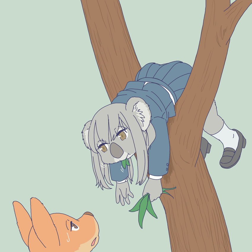 ambiguous_gender anthro canid canine canis clothed clothing dingo duo eating ekaki510 eucalyptus female footwear in_tree koala leaf mammal marsupial plant school_uniform shoes tree uniform vombatiform