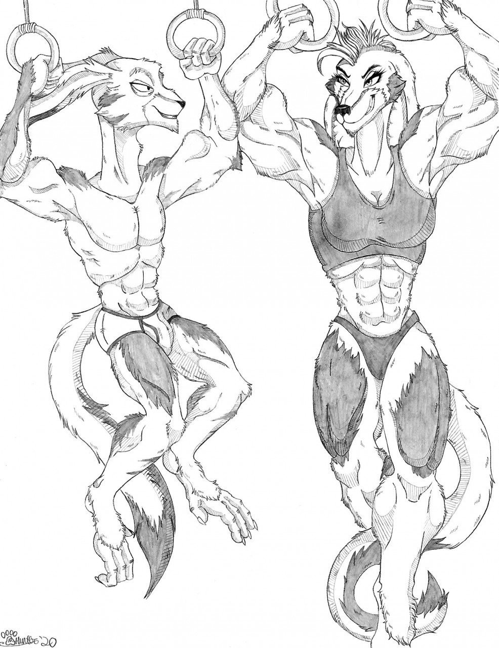 2020 abs anthro biceps chaff_(radarrq) claws clenched_teeth clothing duo eye_contact female fur hair hi_res looking_at_another male mammal marci_hetson marcushunter muscular muscular_anthro muscular_female muscular_male panties radarr shirt signature smile storm_hawks tank_top teeth toe_claws topwear underwear